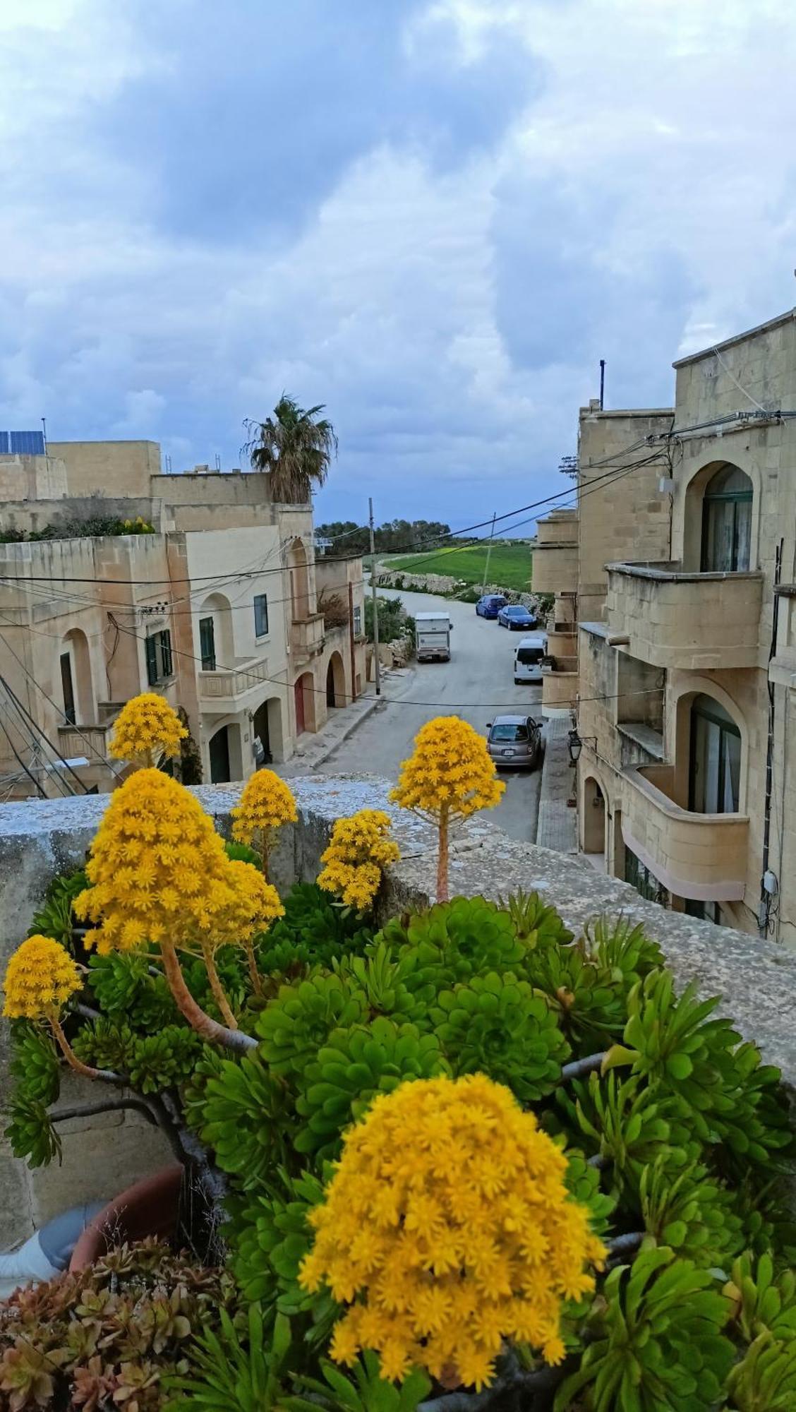Arthome - Guest Rooms Għarb Kültér fotó